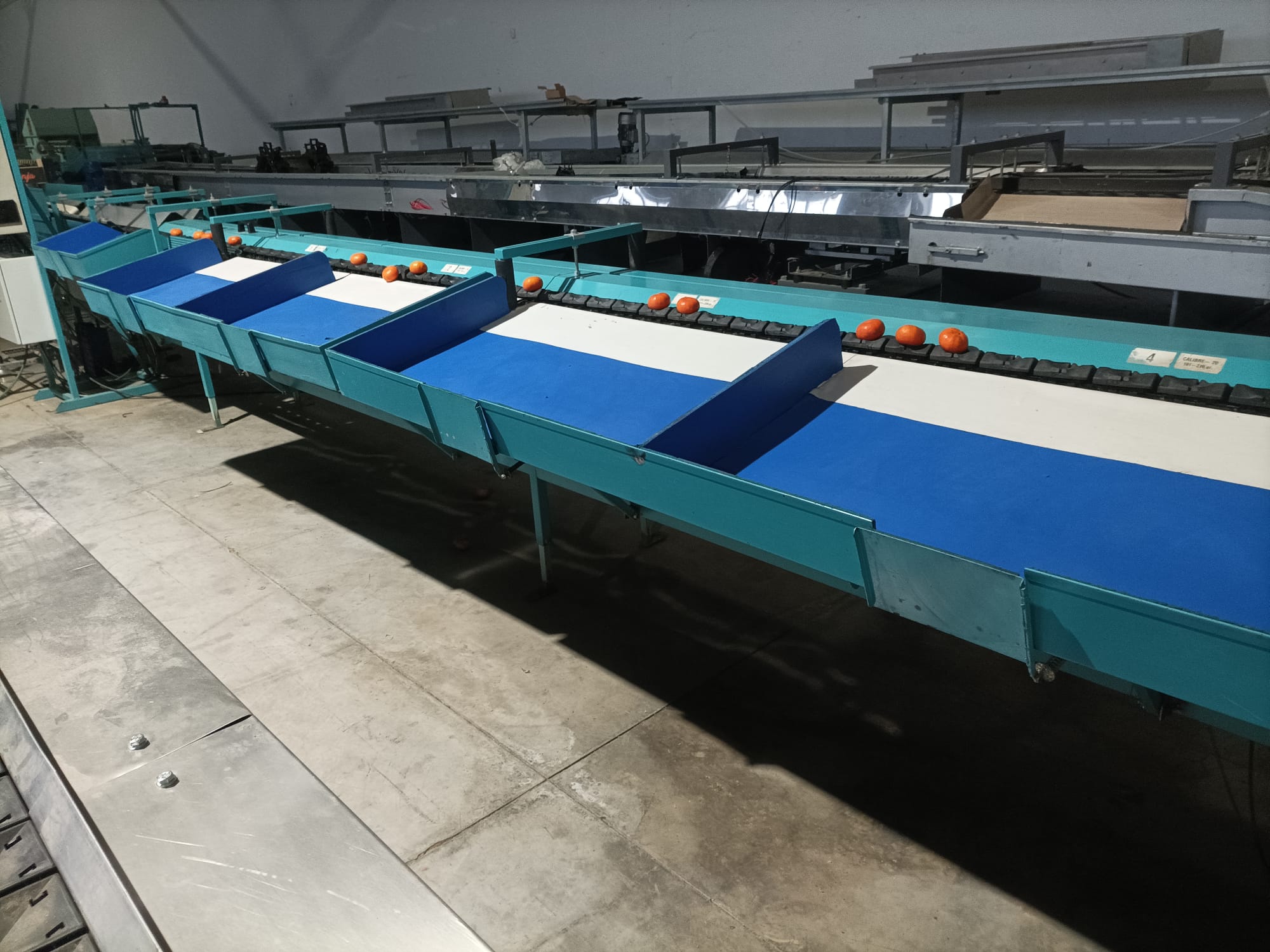 Calibrador 1 línea 6 salidas